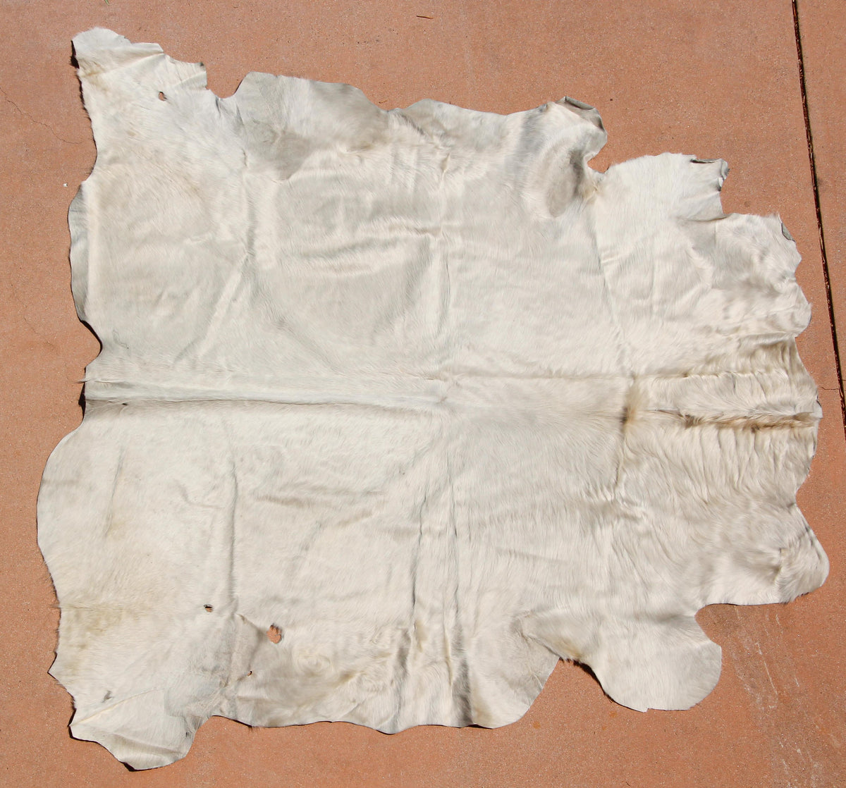 Hand-Crafted White Cowhide Rug from Argentina, Folk Art Style, 1980 — additional view 18