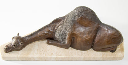 Bronze Resting Camel Sculpture on Marble Stand French School