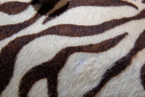Maitland Smith PostModern Zebra Hide Box 1980's