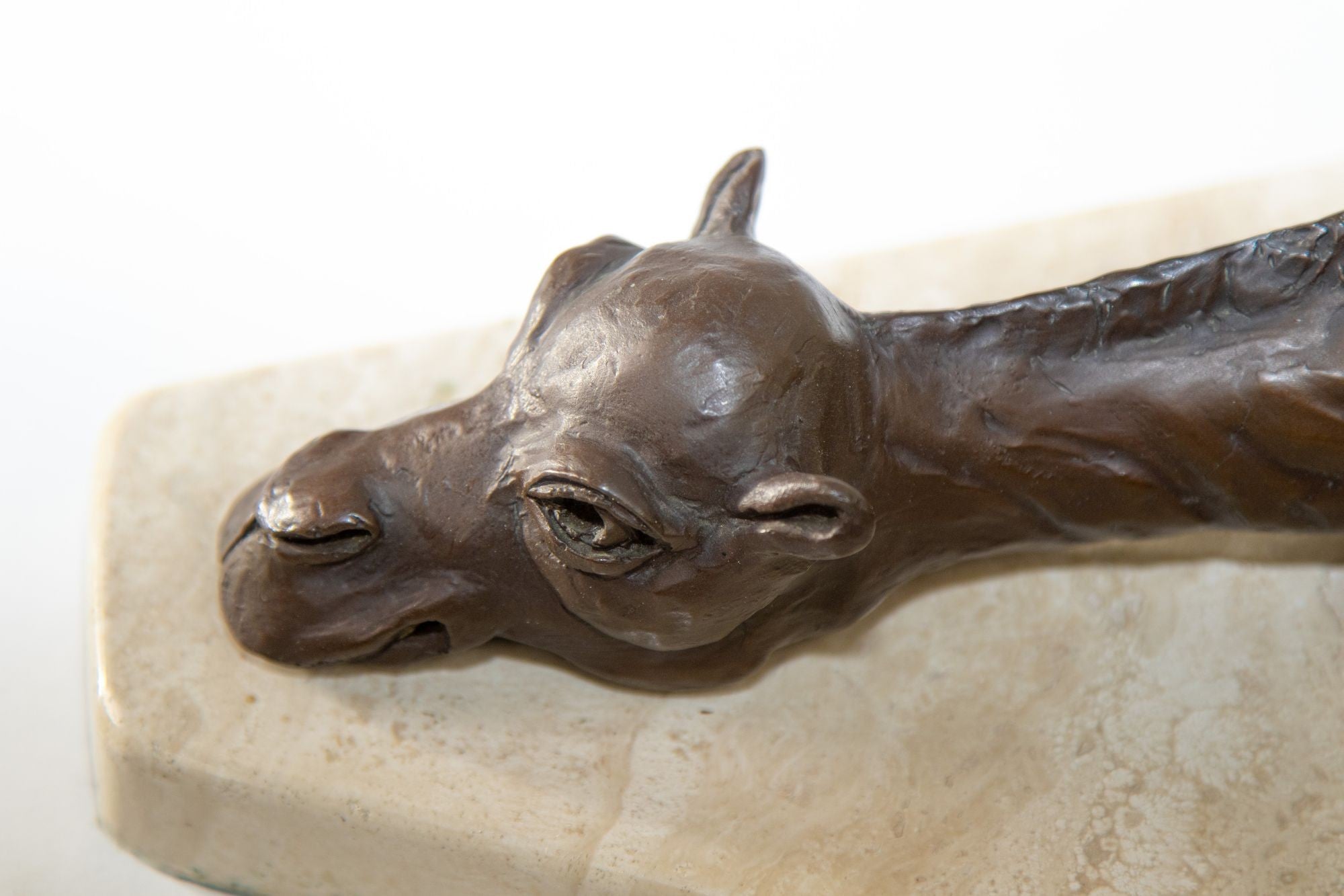 Bronze Resting Camel Sculpture on Marble Stand French School