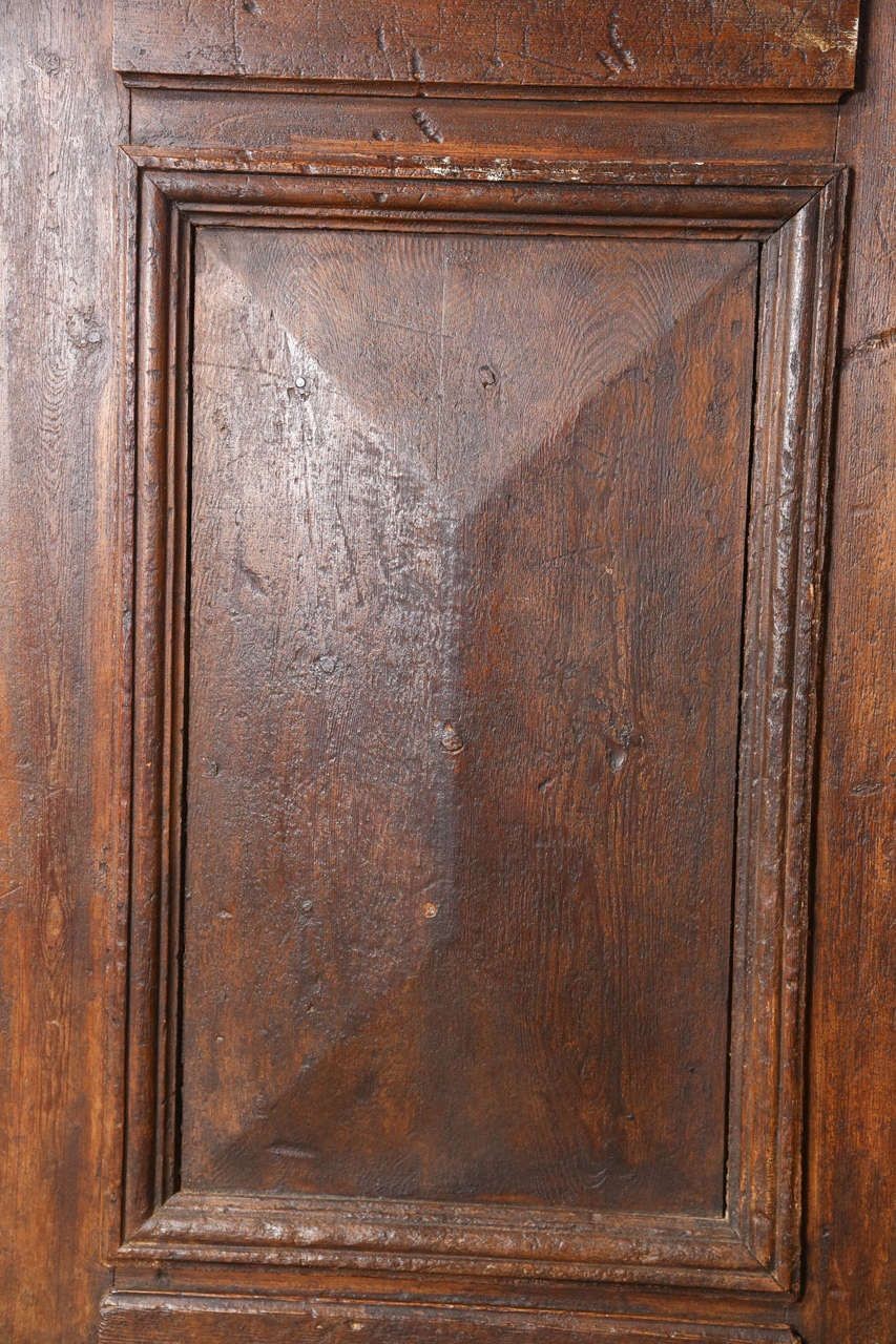 Set of French Painted Double Entry Door with Iron Insert