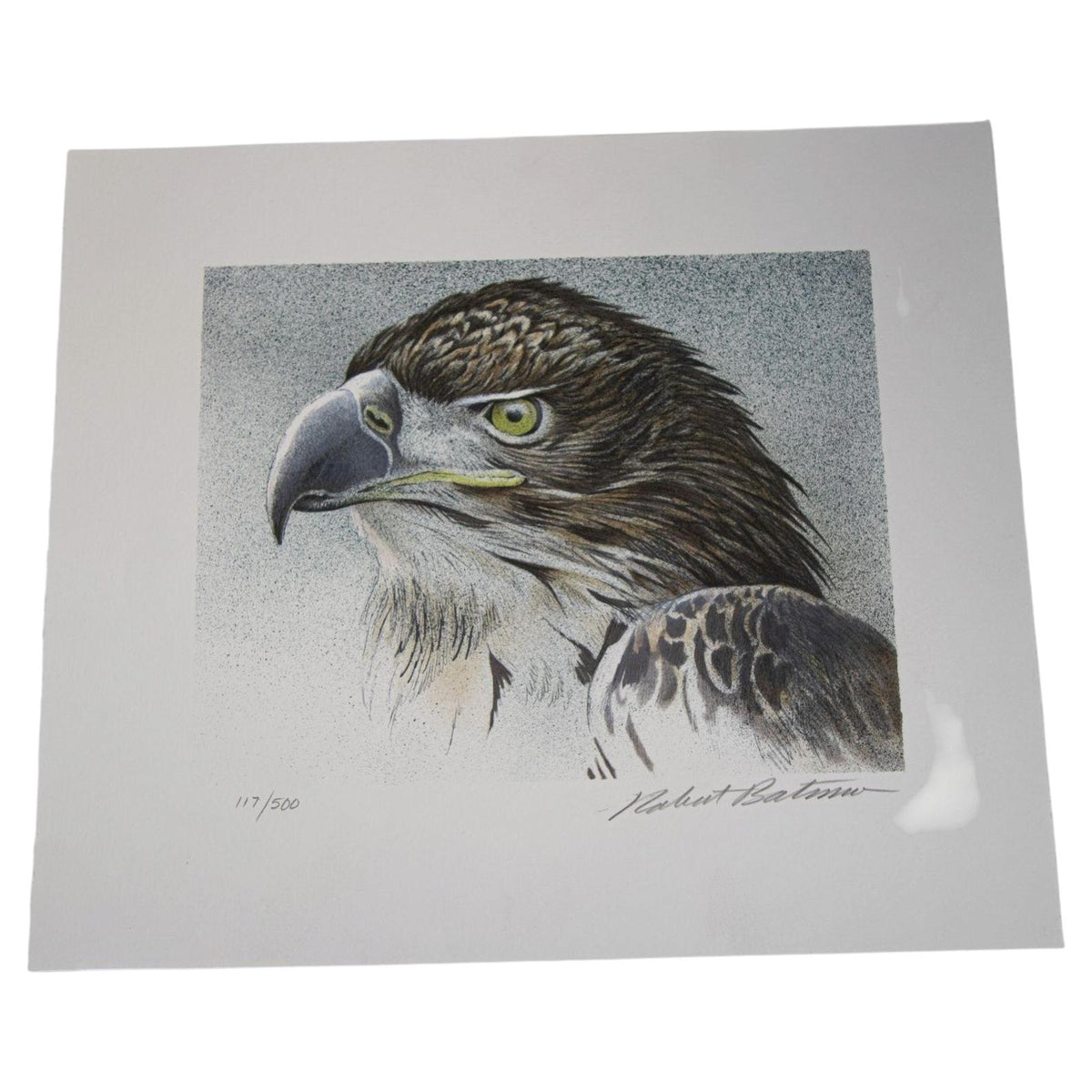 Eagle Bust Signed Limited Edition Original Lithograph by Robert Bateman — additional view 2