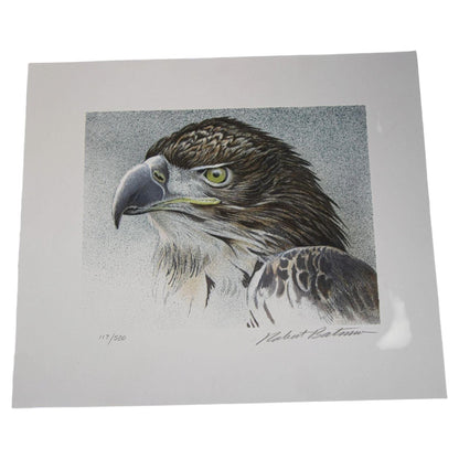 Eagle Bust Signed Limited Edition Original Lithograph by Robert Bateman — additional view 2