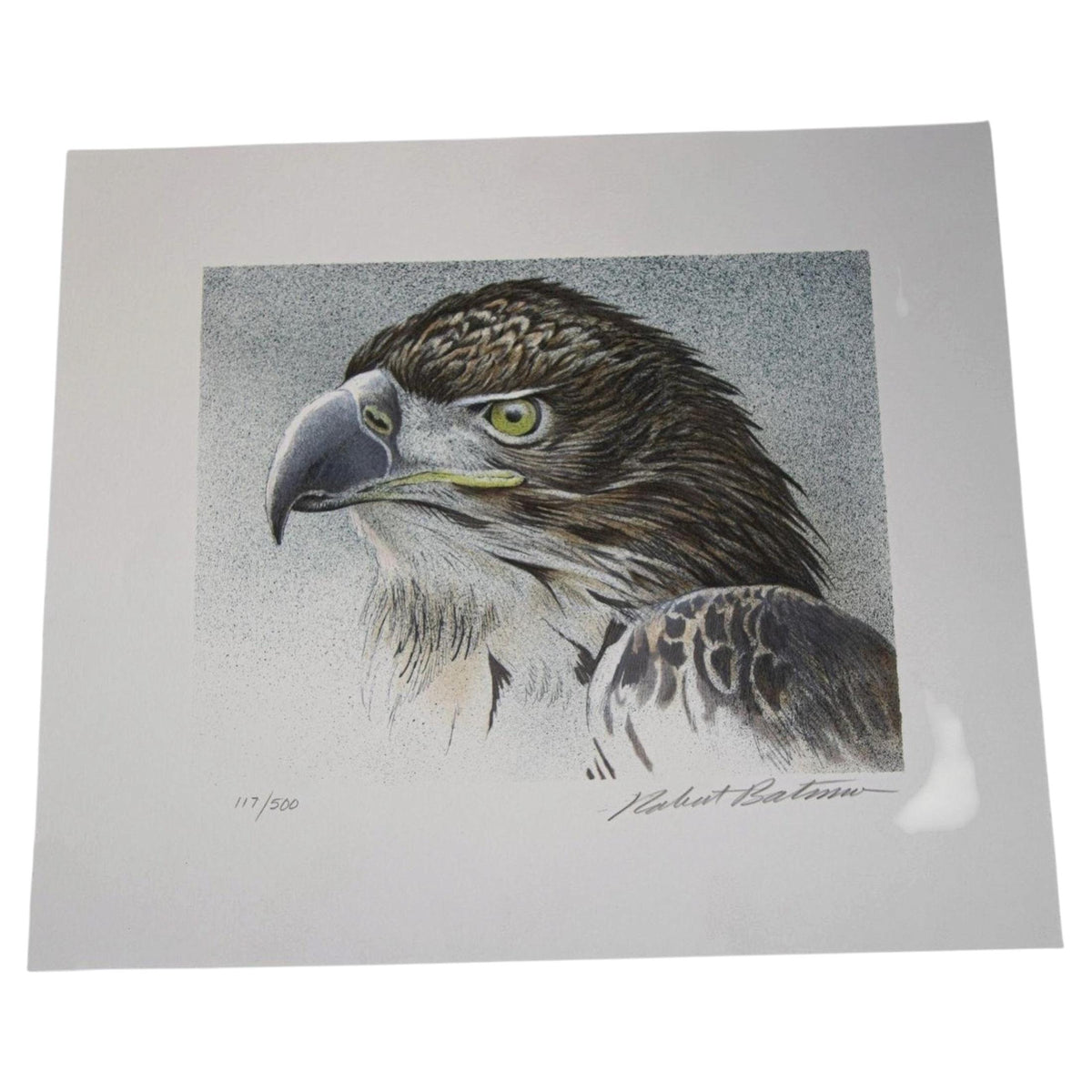 Eagle Bust Signed Limited Edition Original Lithograph by Robert Bateman — main image