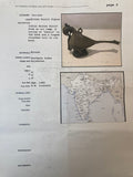 Antique Indian Bronze Parrot Figure oil Lamp Rajasthan 19th Century