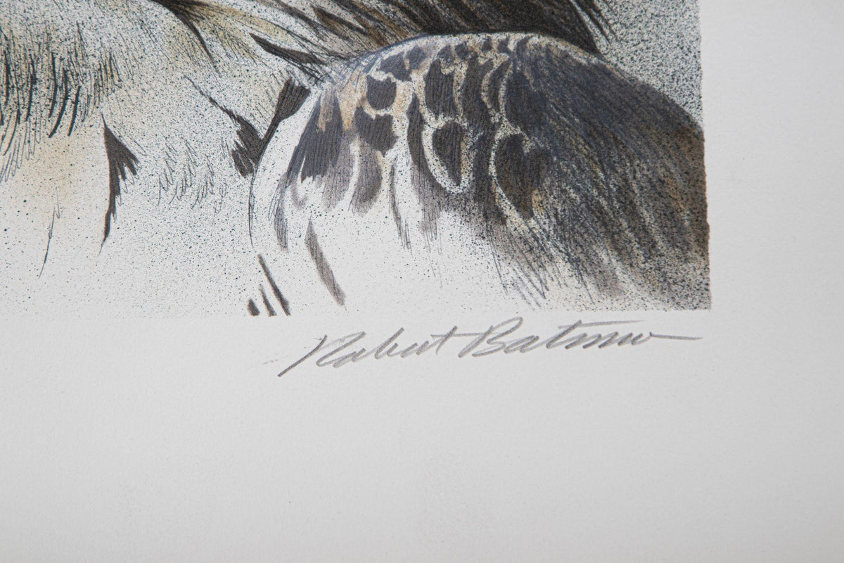 Eagle Bust Signed Limited Edition Original Lithograph by Robert Bateman — additional view 9