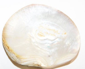 Middle Eastern Miniature Painting on Shell