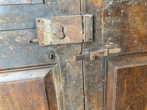 Set of French Painted Double Entry Door with Iron Insert