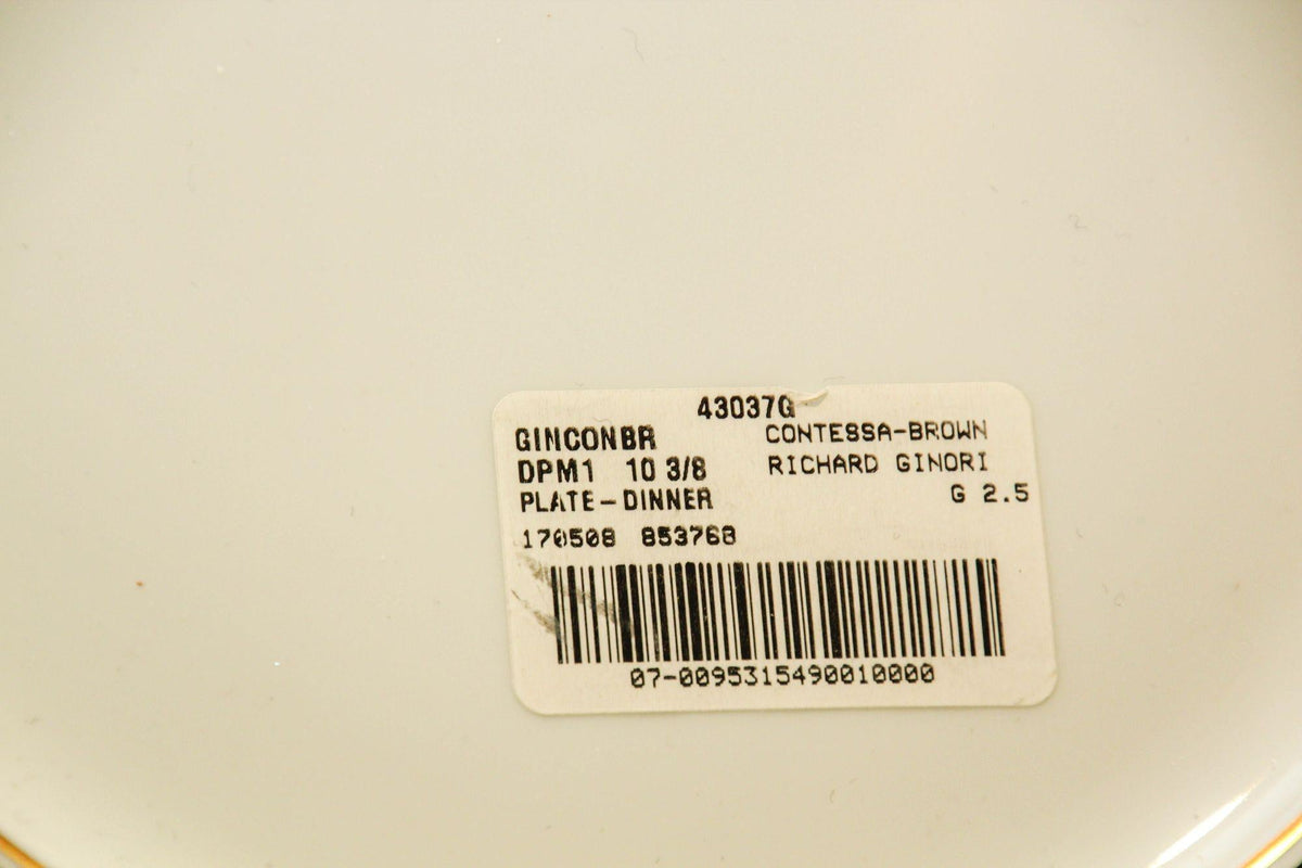 Richard Ginori Brown & Gold Trimmed Dinnerware Service Of 93 Pieces — detail view 10
