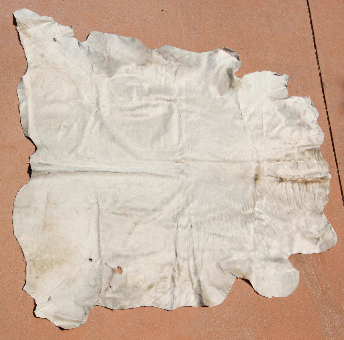 Hand-Crafted White Cowhide Rug from Argentina, Folk Art Style, 1980 — additional view 17
