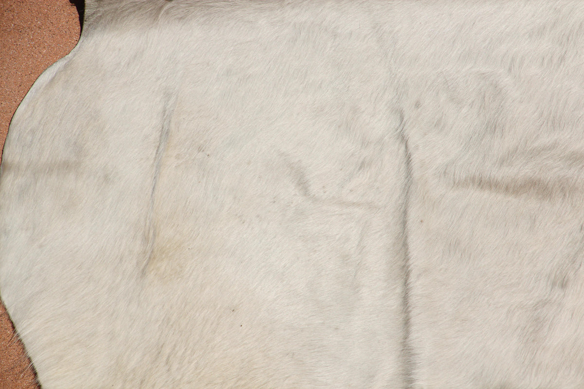 Hand-Crafted White Cowhide Rug from Argentina, Folk Art Style, 1980 — additional view 6