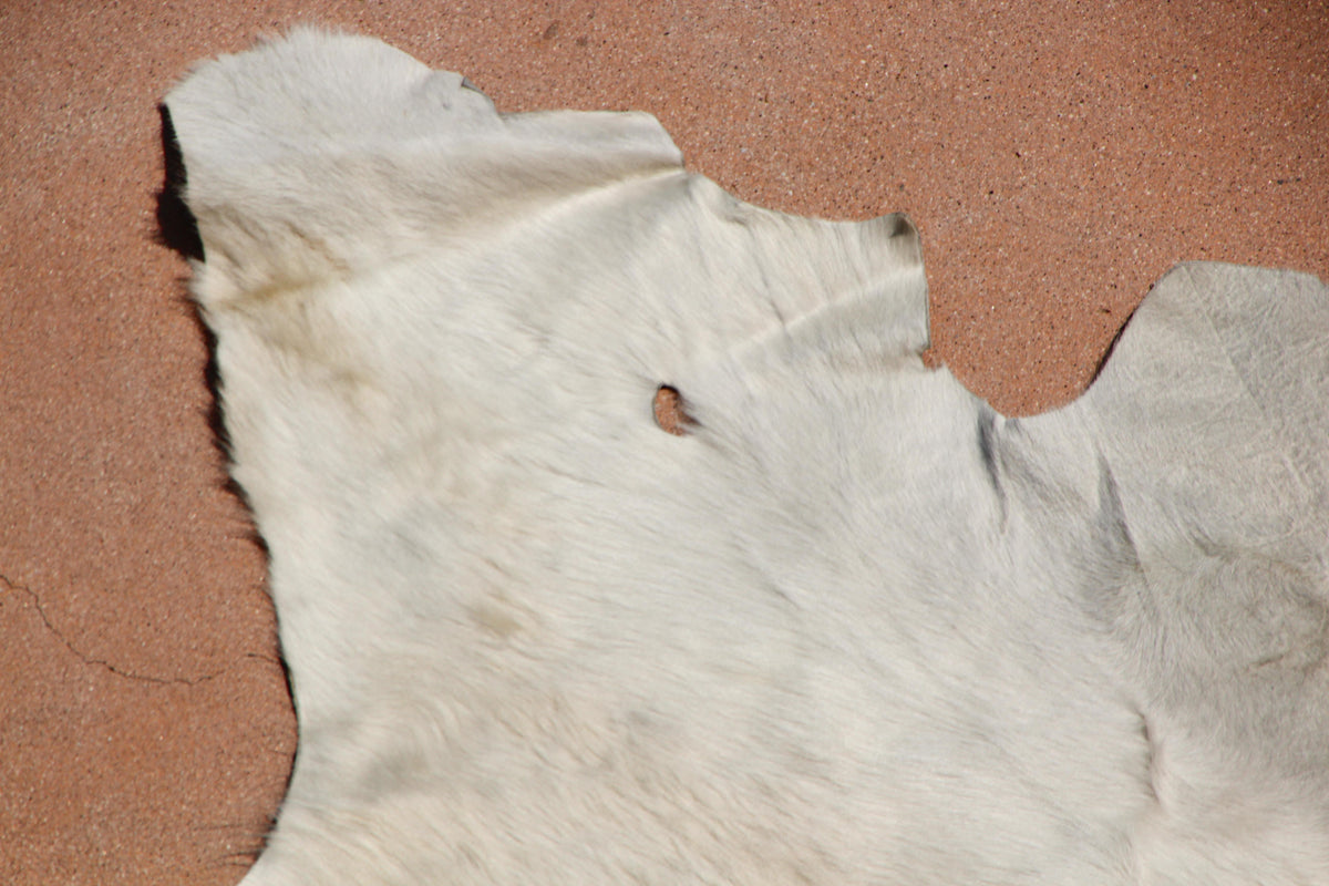 Hand-Crafted White Cowhide Rug from Argentina, Folk Art Style, 1980 — additional view 7