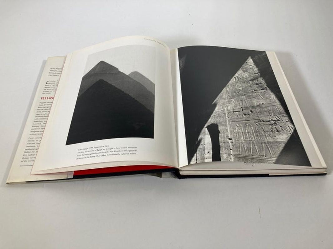 Feeling the Spirit: Searching the World for the People of Africa Book