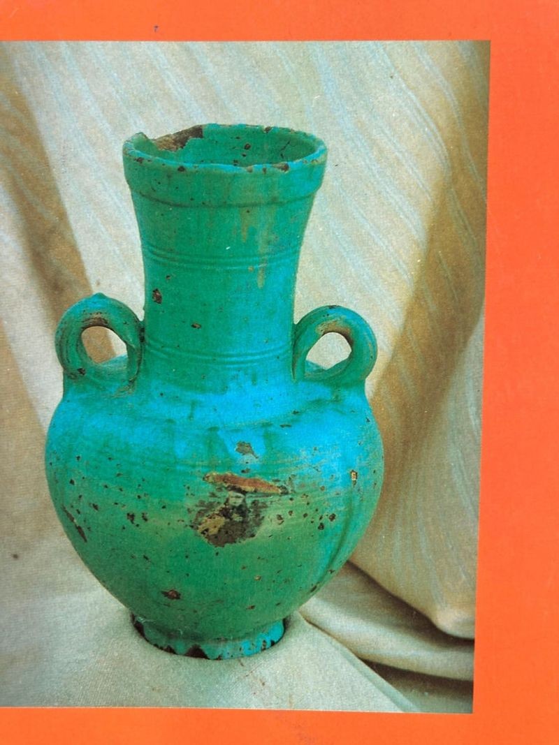 Terres Marocaines Nadia Demnati, France Marie Fiorese Book