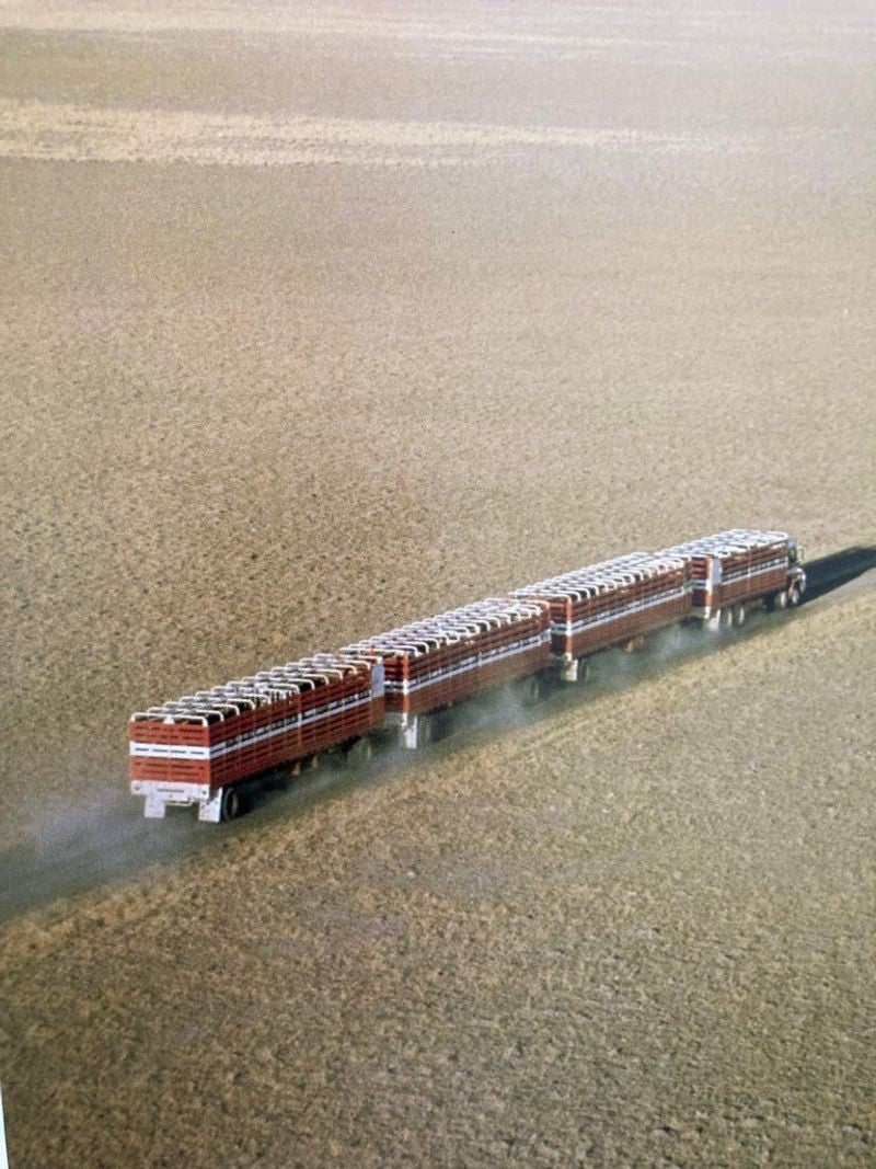 Deserts A Panoramic Vision by David Miller Large Hardcover Book