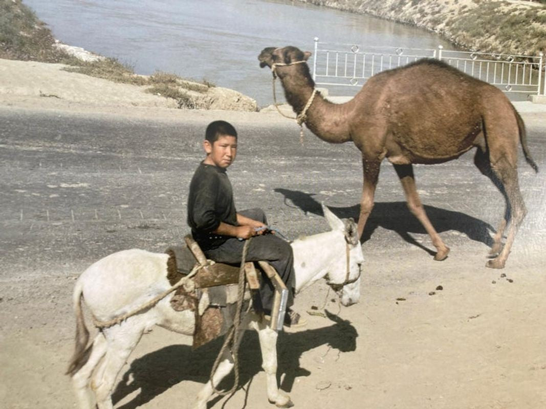Deserts A Panoramic Vision by David Miller Large Hardcover Book