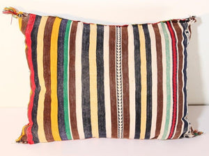 Authentic Vintage Moroccan Berber Throw Pillow