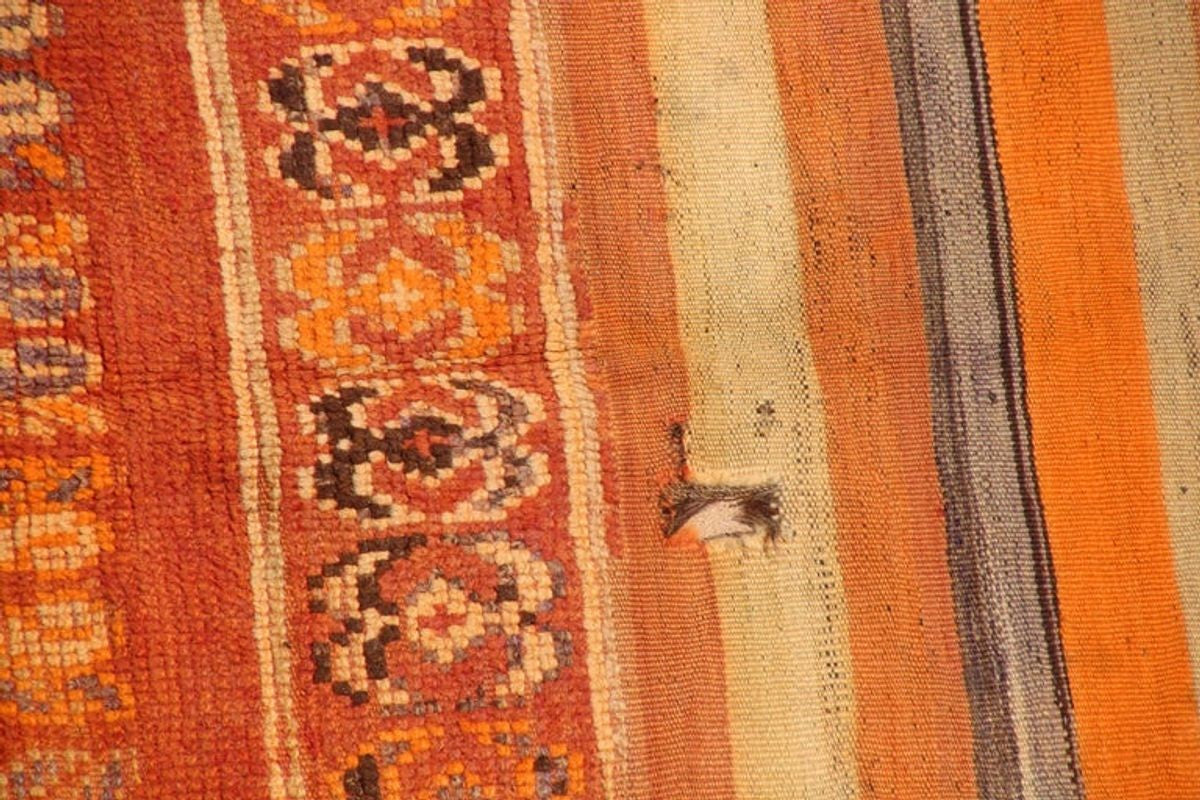 Vintage Moroccan Berber Tribal Wool Rug, 1960s, 6 x 11 Ft