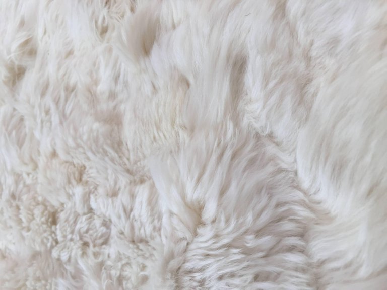 Vintage Shaggy Sheepskin Bed Throw or Rug | New Zealand Natural Ivory White 1970