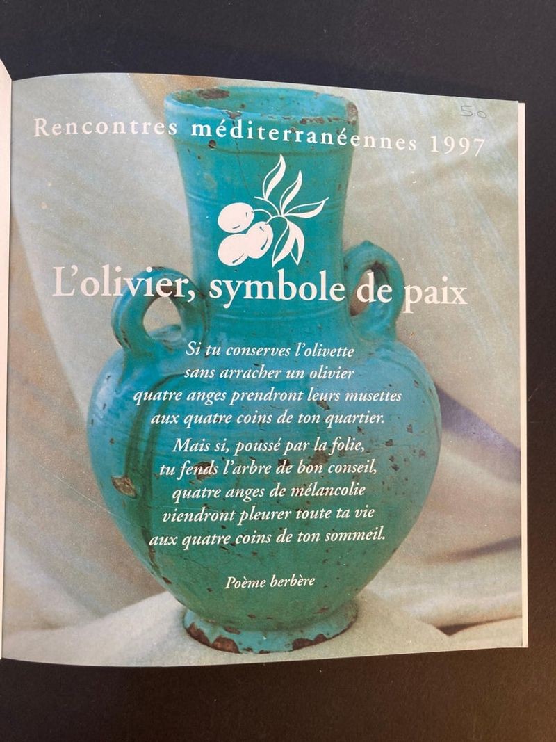Terres Marocaines Nadia Demnati, France Marie Fiorese Book