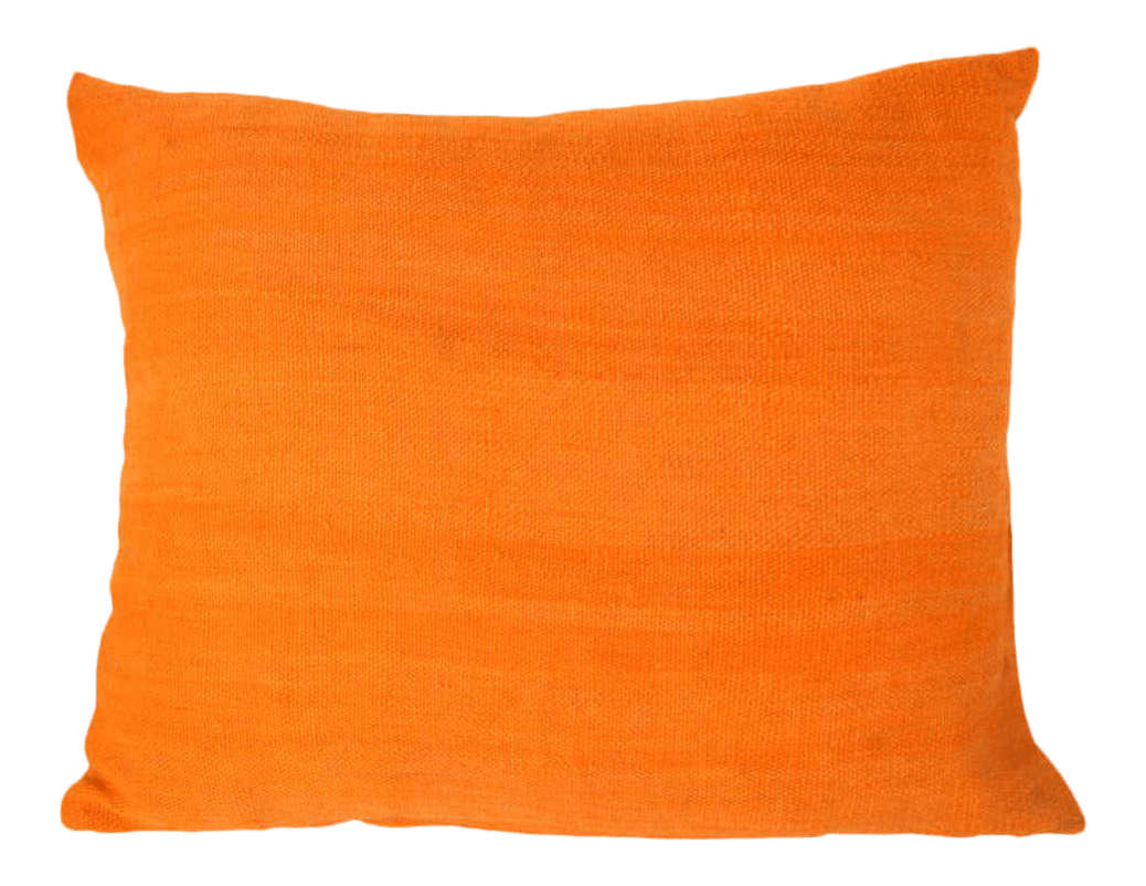 Vintage Moroccan Berber Pillow