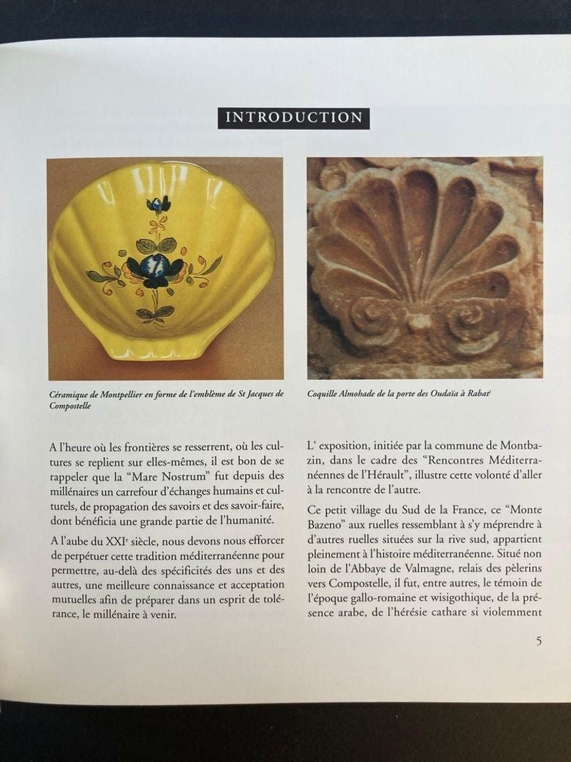 Terres Marocaines Nadia Demnati, France Marie Fiorese Book