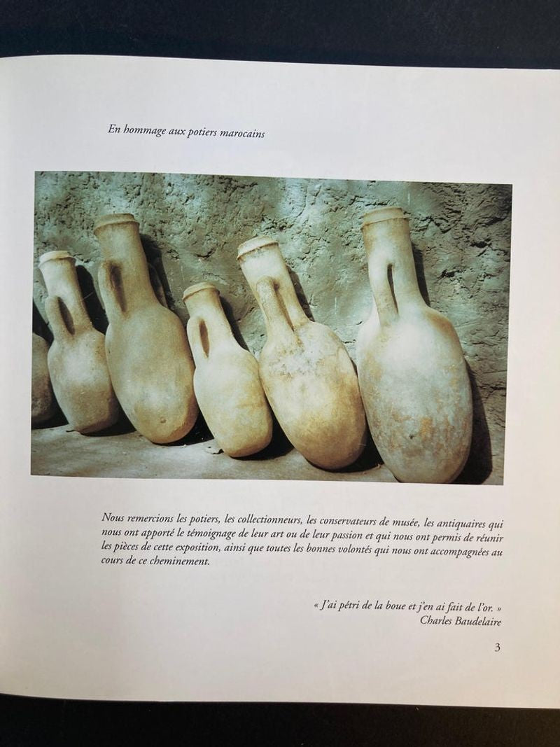 Terres Marocaines Nadia Demnati, France Marie Fiorese Book