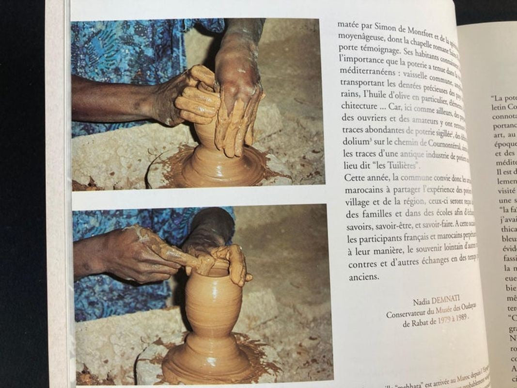 Terres Marocaines Nadia Demnati, France Marie Fiorese Book