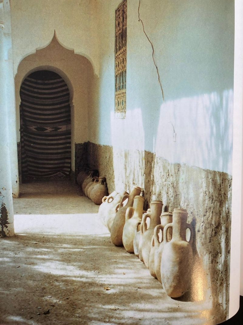 Terres Marocaines Nadia Demnati, France Marie Fiorese Book
