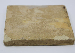 Moorish Turkish Tile with Floral Design