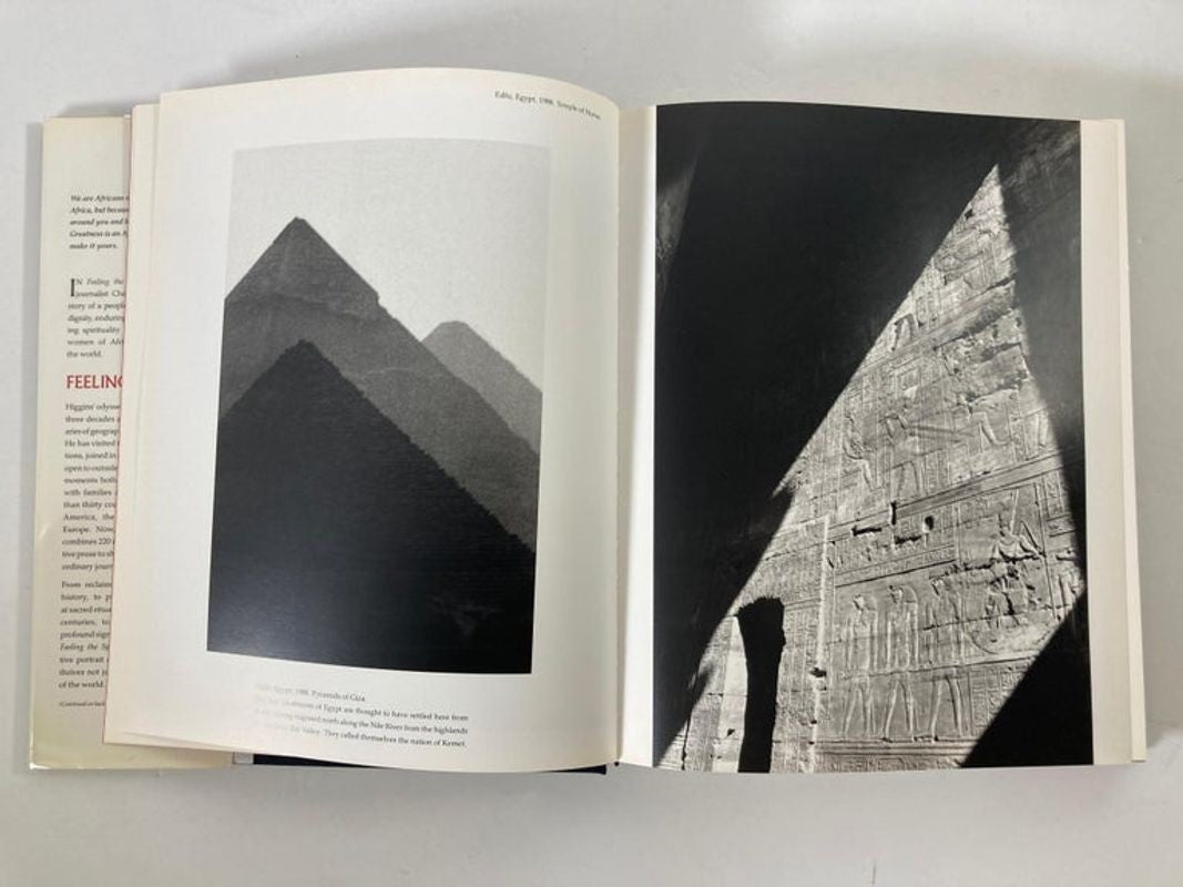 Feeling the Spirit: Searching the World for the People of Africa Book