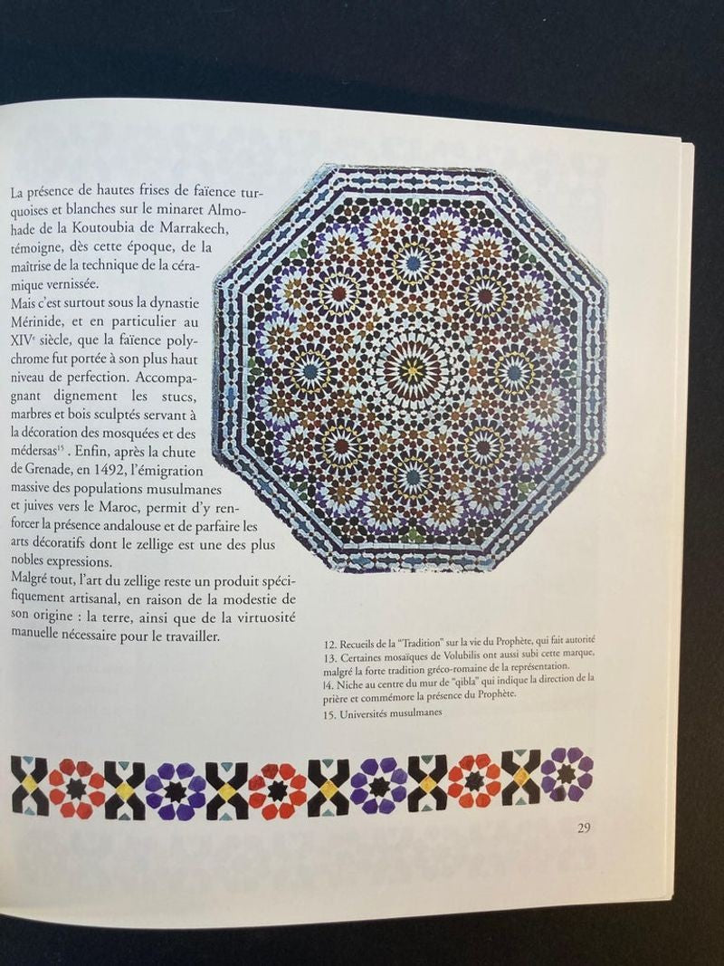 Terres Marocaines Nadia Demnati, France Marie Fiorese Book