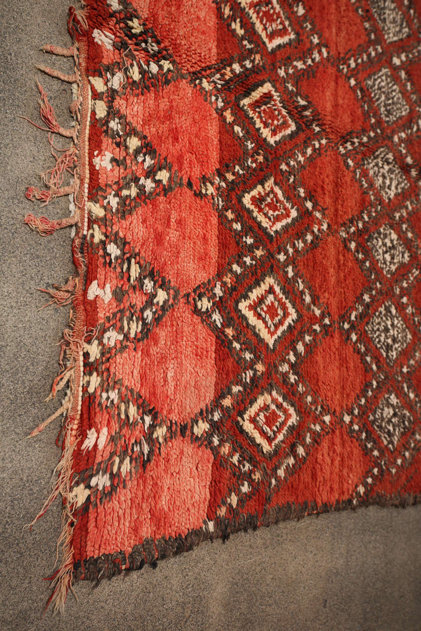 Vintage Moroccan Rehamna Tribal Wool Rug, Marrakech Plains, circa 1960